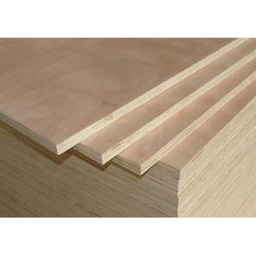 Hot! China Commercial Plywood